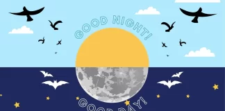 طراحی سایت گردشگری — سریع، ارزان و حرفهای با اهنوس (ahnos)